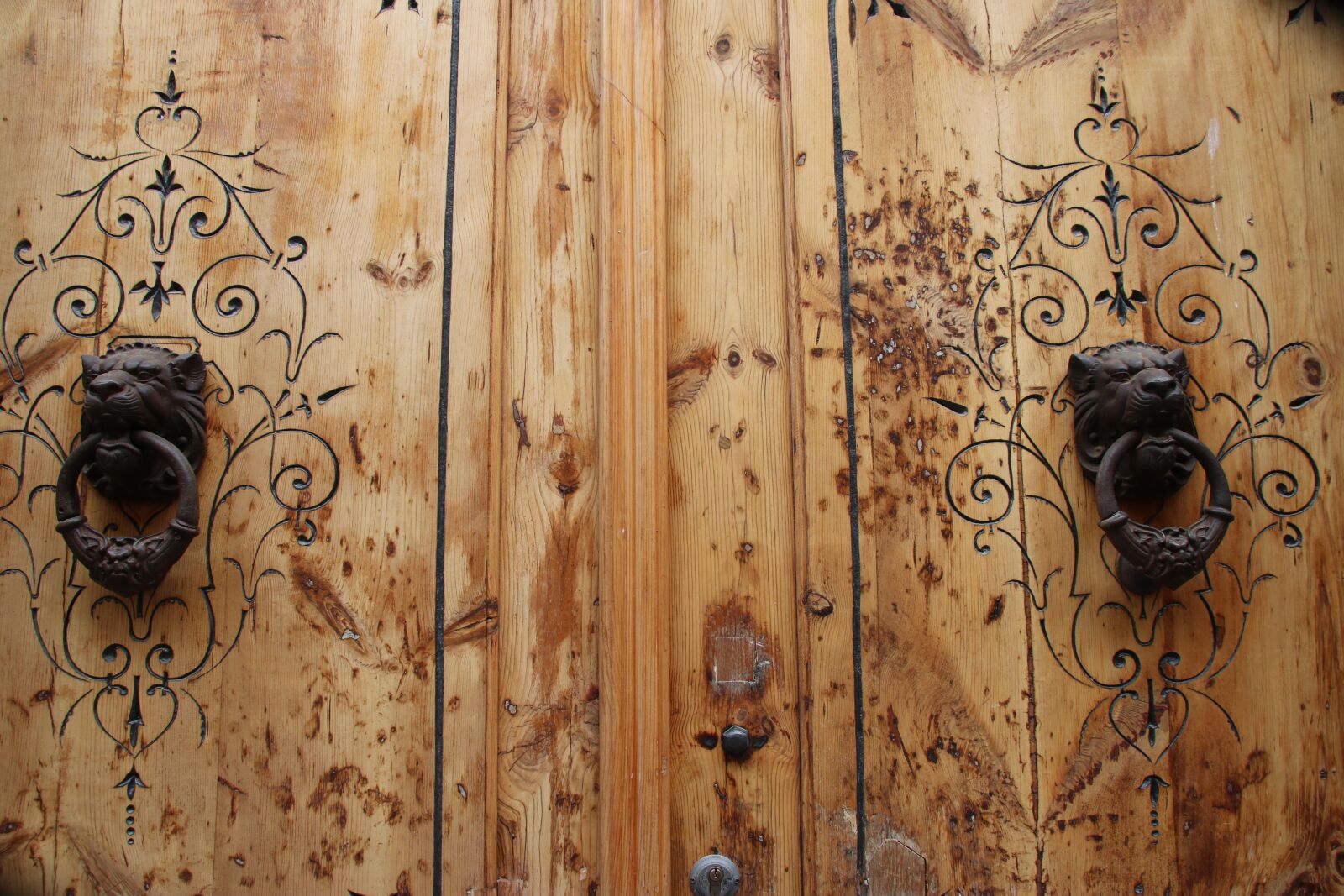 Canon EOS 750D (EOS Rebel T6i / EOS Kiss X8i) sample photo. Door, saragossa, aldaba photography