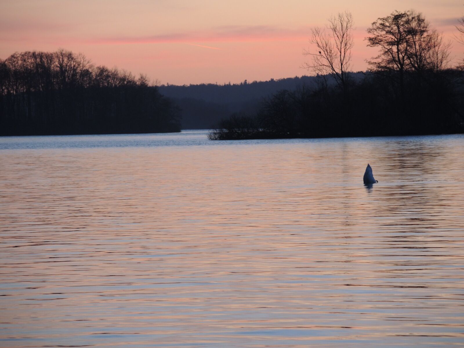 Nikon Coolpix P7800 sample photo. Evening, lake, sunset photography