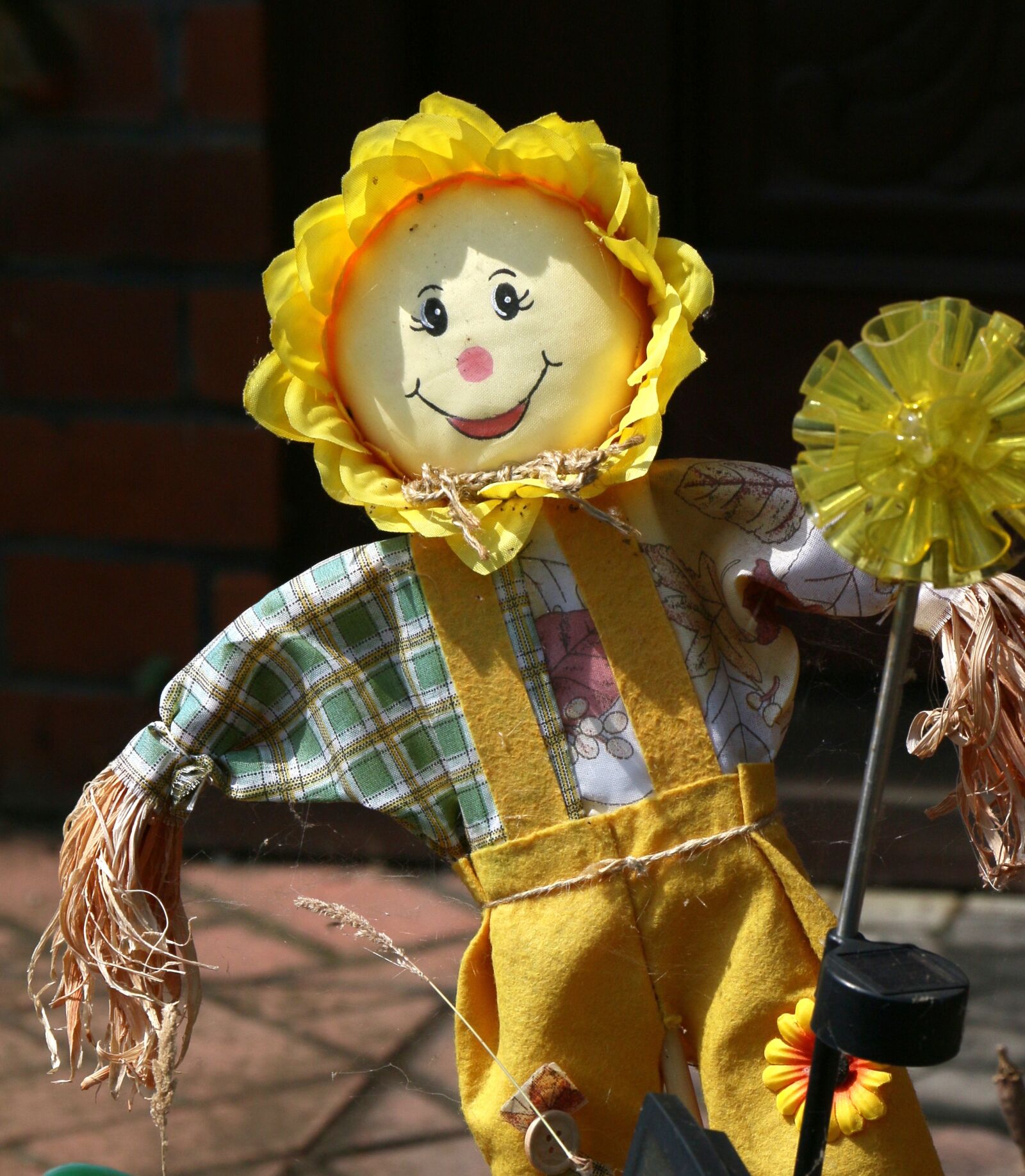 Canon EOS 70D sample photo. Scarecrow, cabbage patch doll photography