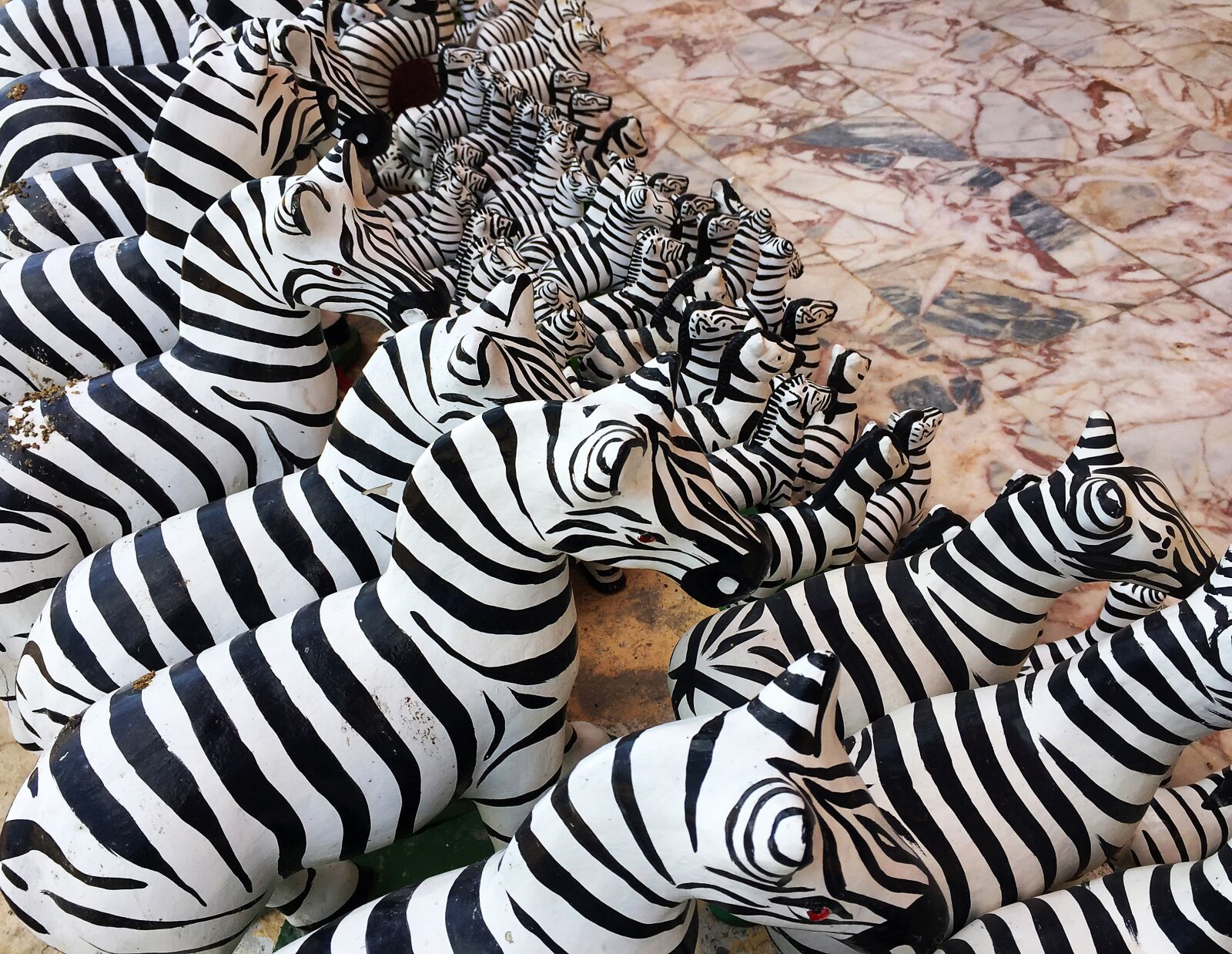 iPhone 6 Plus back camera 4.15mm f/2.2 sample photo. Zebra, pattern, natural photography
