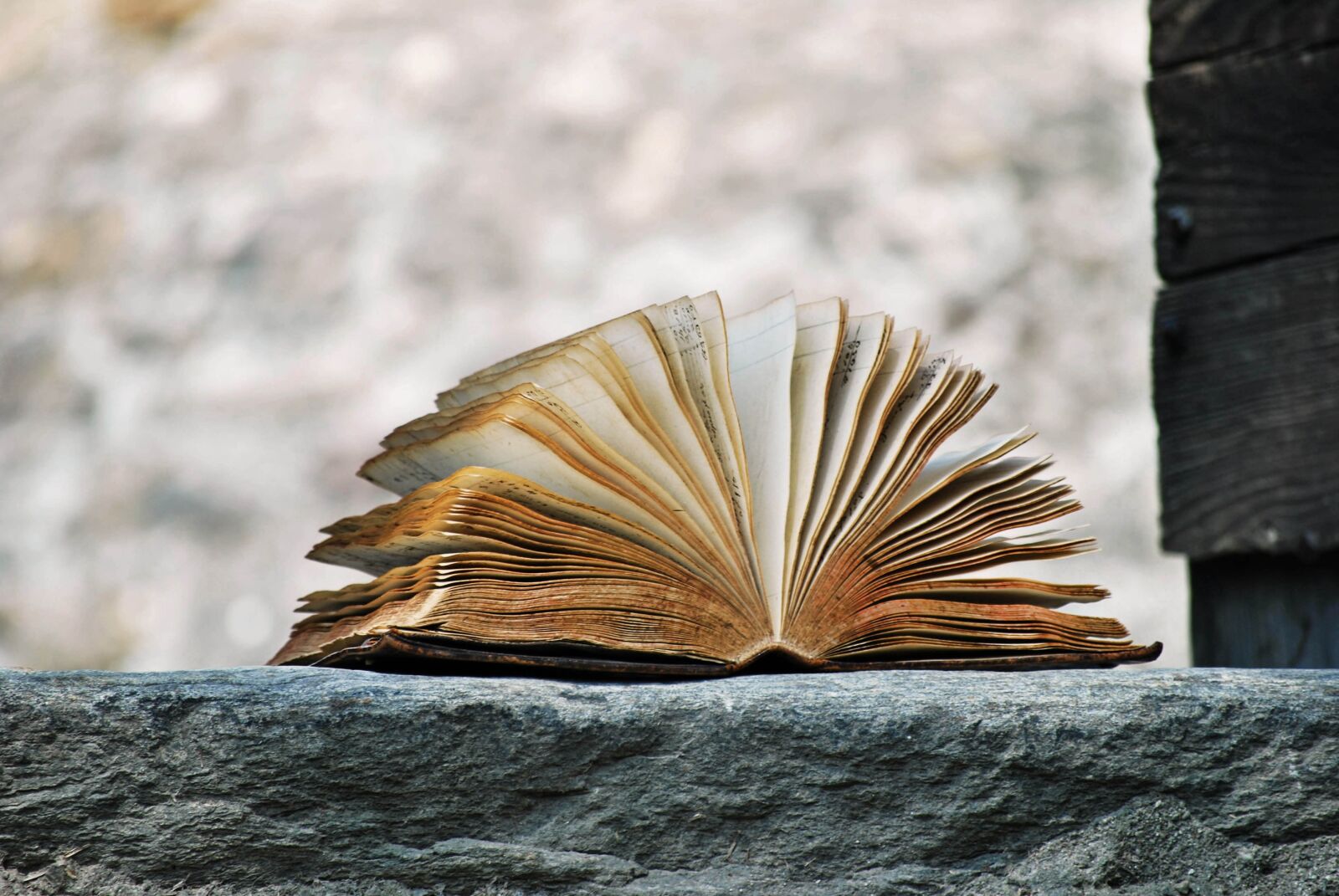 Nikon D60 sample photo. Book, story, fairy tale photography