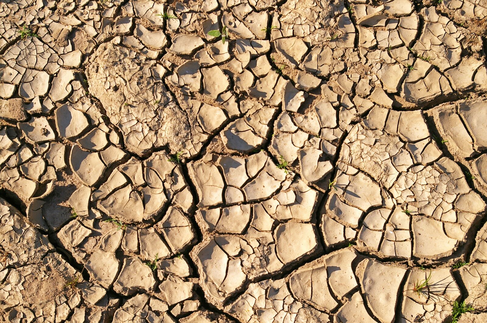 Pentax *ist DL2 sample photo. Dry soil, drought, dehydrated photography