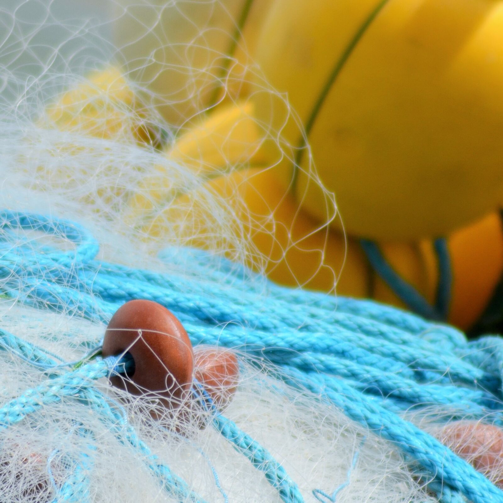 Nikon D5100 sample photo. Buoy, float, net photography