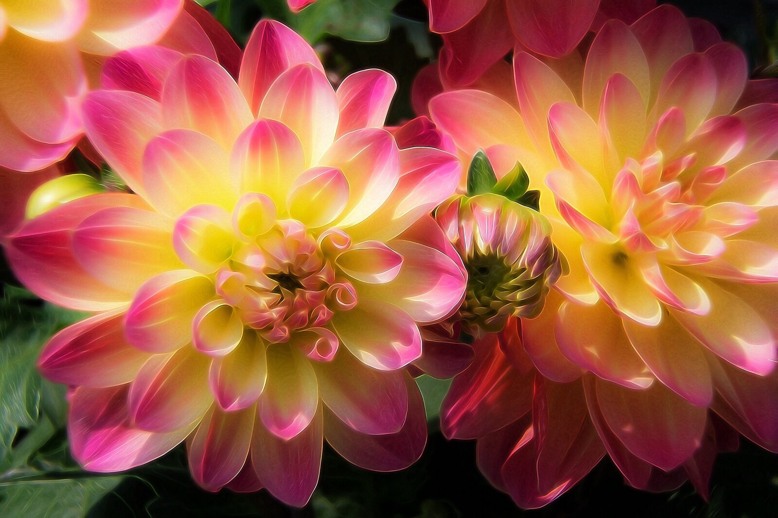 Sony a6000 + Sony E PZ 18-105mm F4 G OSS sample photo. Dahlia, flower, color photography