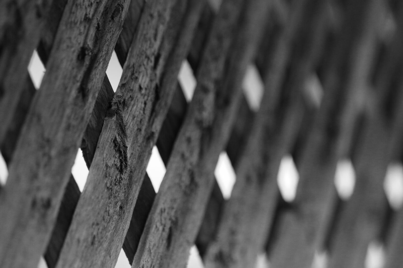 Canon EOS 70D sample photo. Canada, fence, gray, grayscale photography