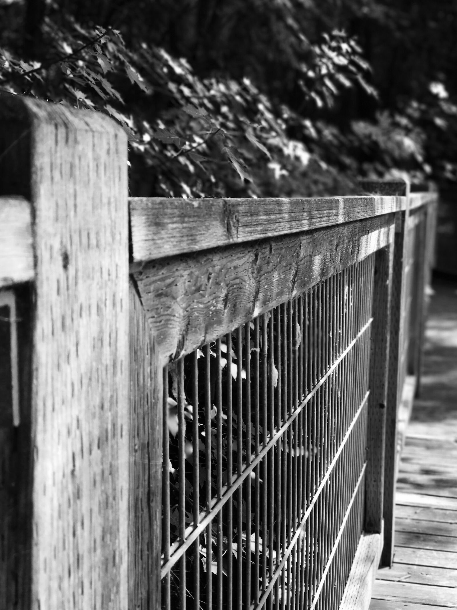 Apple iPhone 7 Plus sample photo. Ramp, barrier, bridge photography