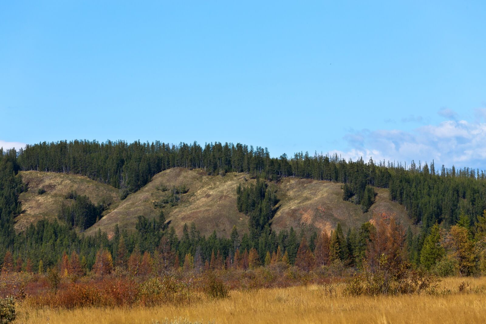 Canon EOS 6D + Canon EF 70-200mm F4L USM sample photo. Nipple, autumn, sky photography