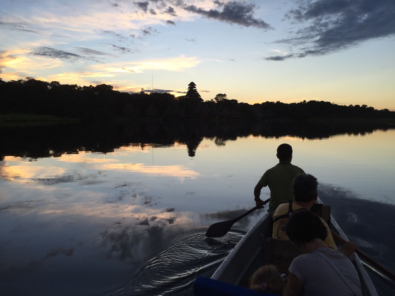 iPhone 6 back camera 4.15mm f/2.2 sample photo. Yasuni, national park, ecuador photography
