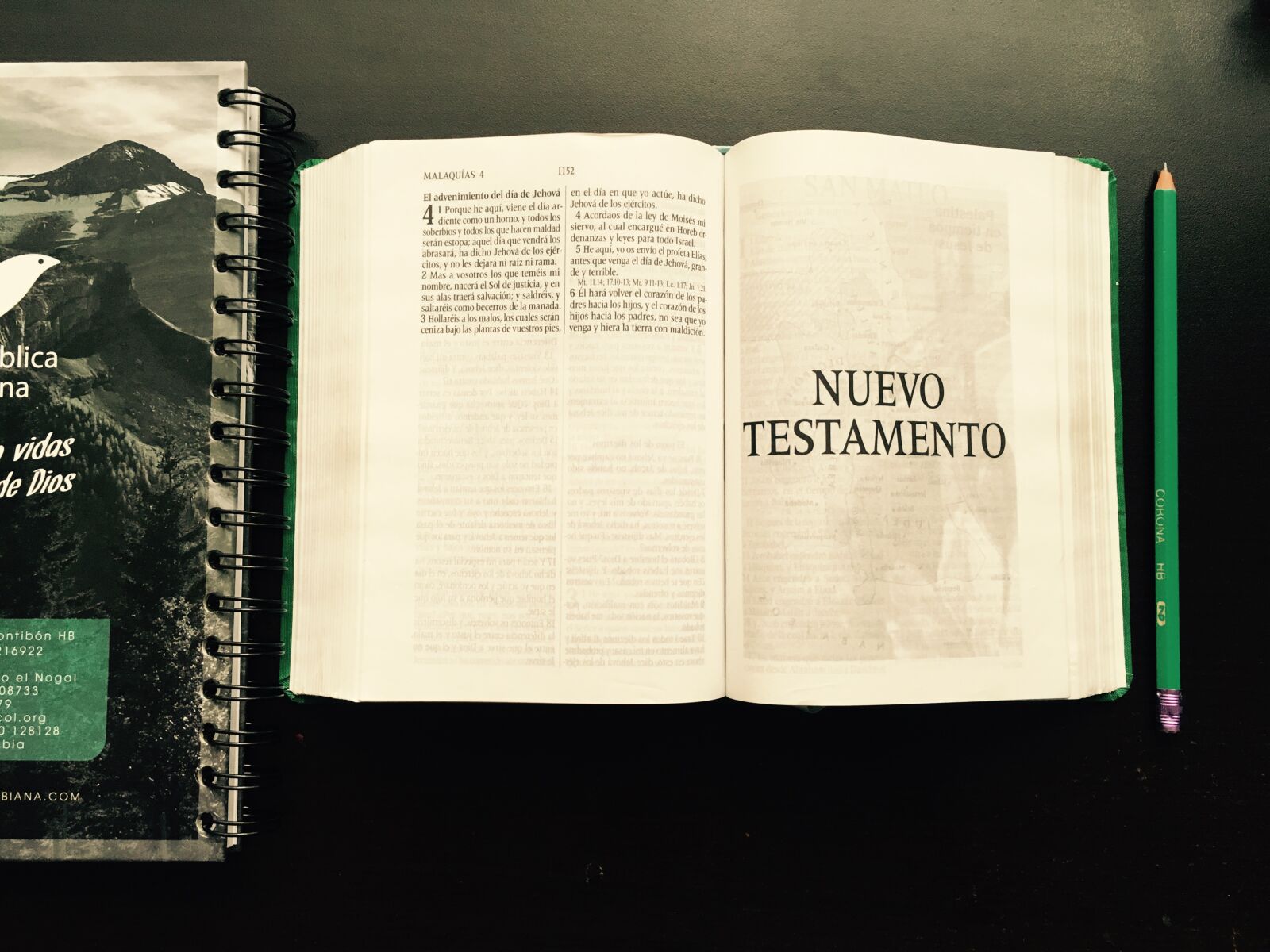 Apple iPhone 6s sample photo. Bible, biblia, book, new photography