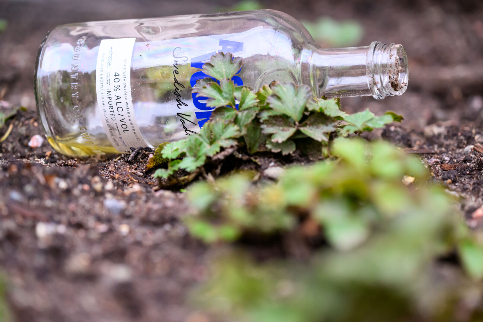 Nikon Z9 sample photo. Absolut littering photography
