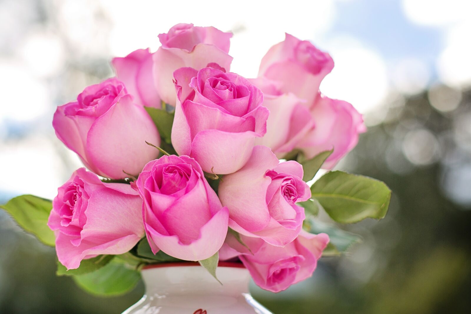 Canon EF 50mm F1.4 USM sample photo. Pink roses, roses, flowers photography