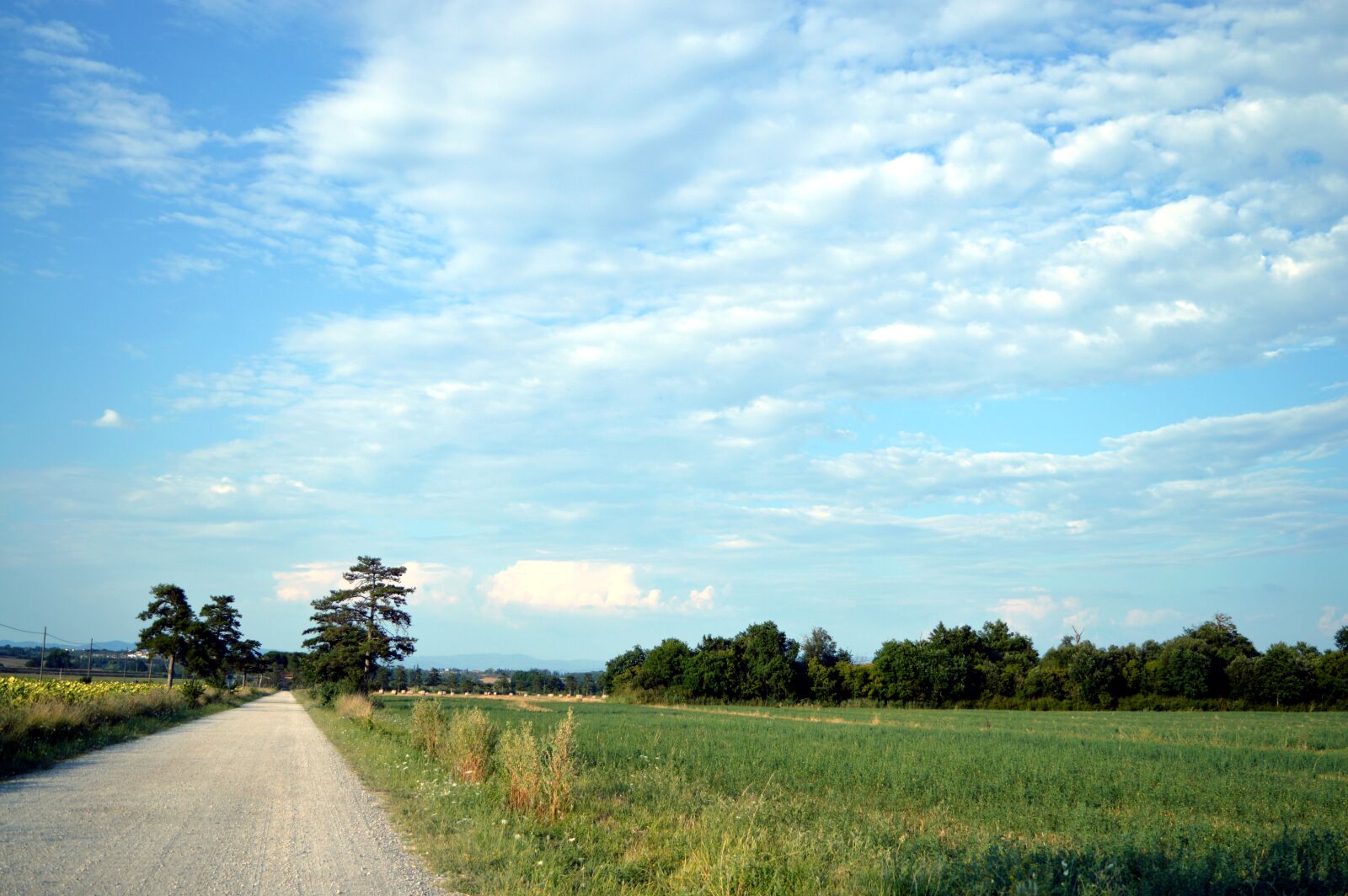 Nikon D3200 sample photo. Via, road, sky photography