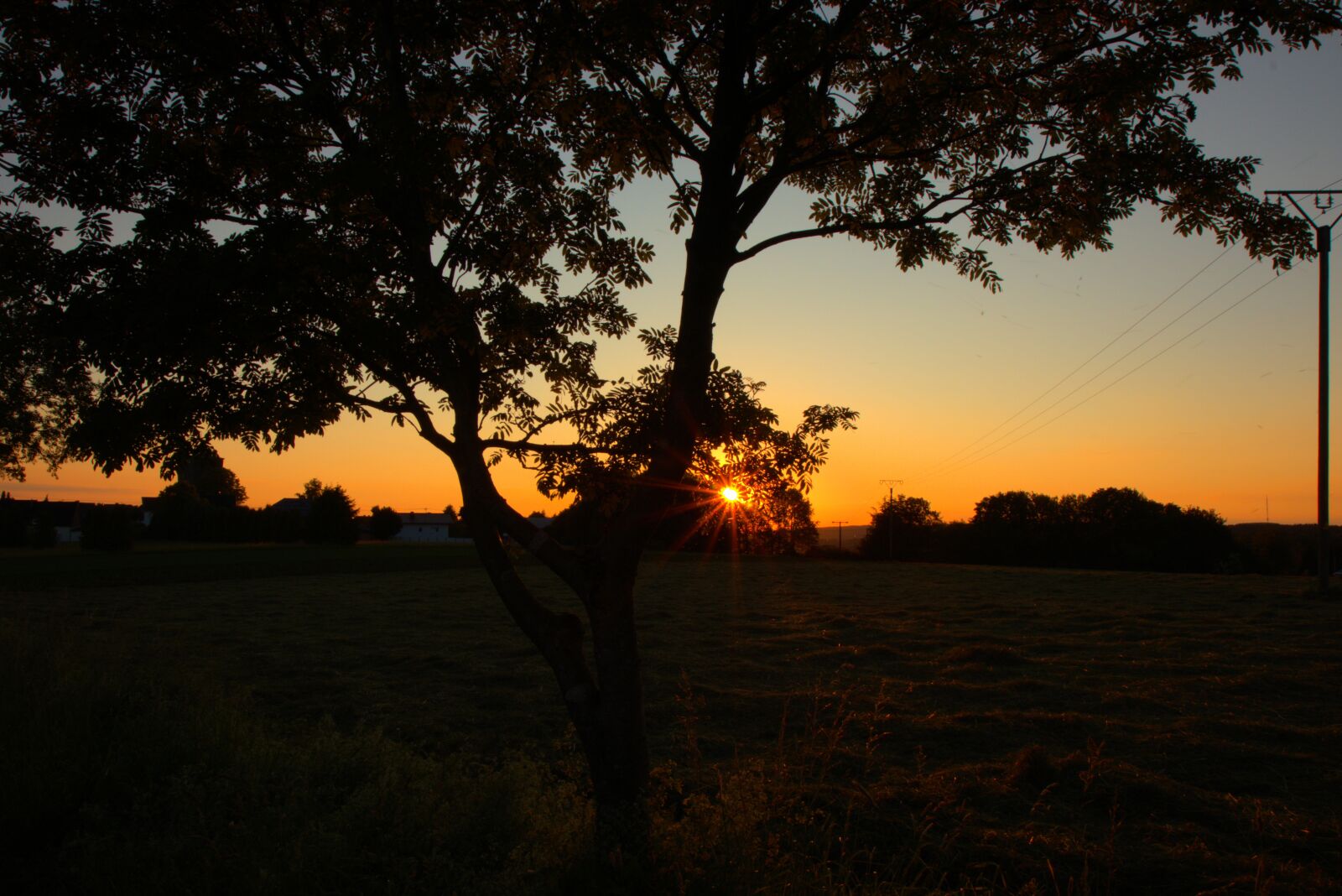 Canon EOS 80D sample photo. Sunset, trees, twilight photography