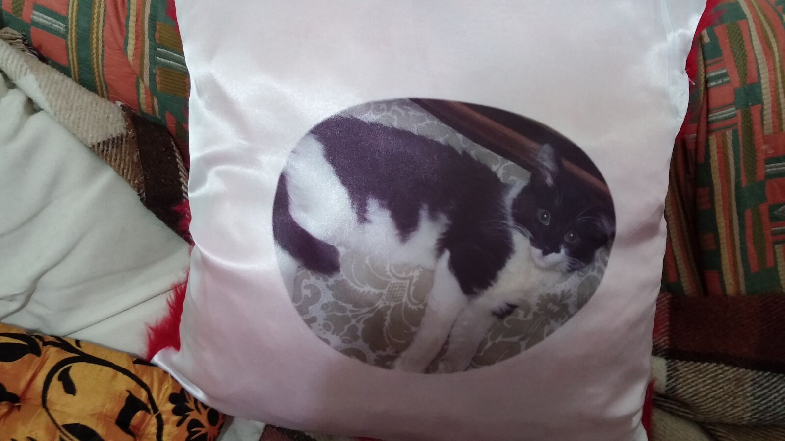 LG G2 sample photo. Pillow, sophie on pillow photography