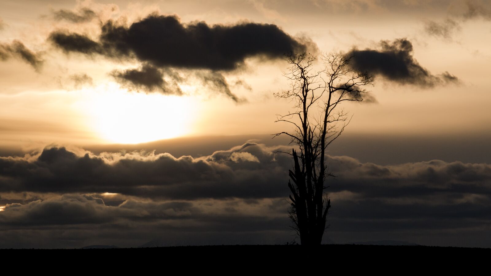 Canon EOS 70D sample photo. Sun, mood, backlighting photography