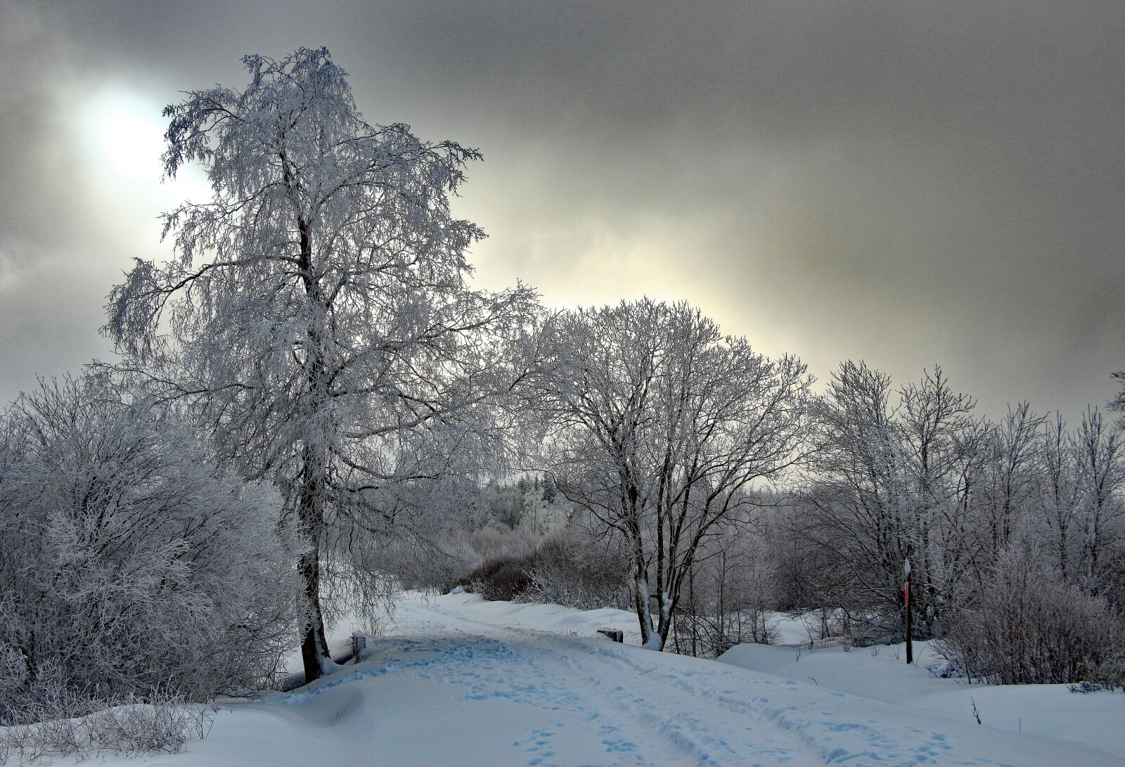 Canon EOS 700D (EOS Rebel T5i / EOS Kiss X7i) sample photo. Winter, snow, wintry photography