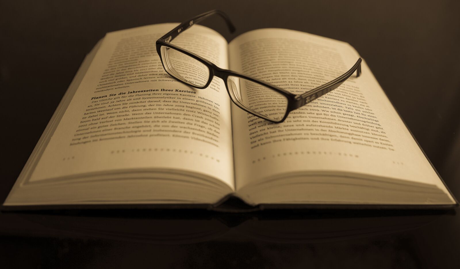 Nikon D5100 sample photo. Read, education, books photography