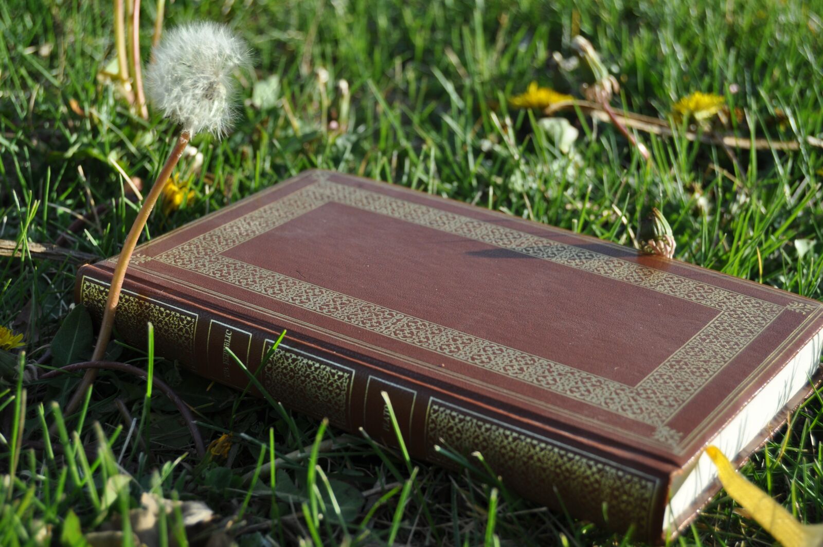 Nikon D5000 sample photo. Republic, plato, book photography
