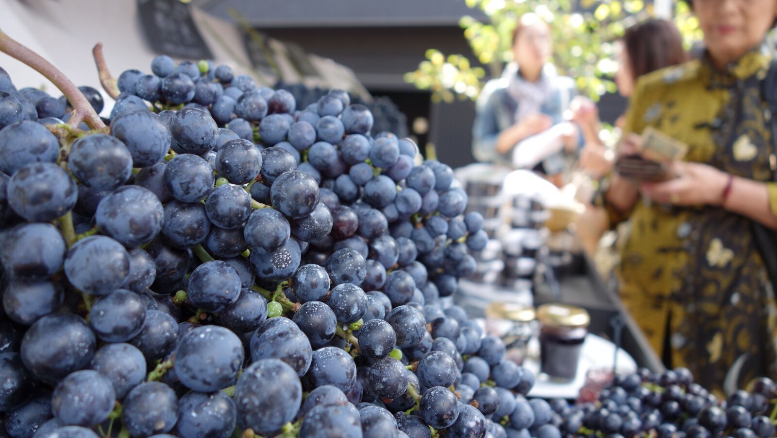 Sony Cyber-shot DSC-RX100 sample photo. Blueberry, karuizawa, marche photography