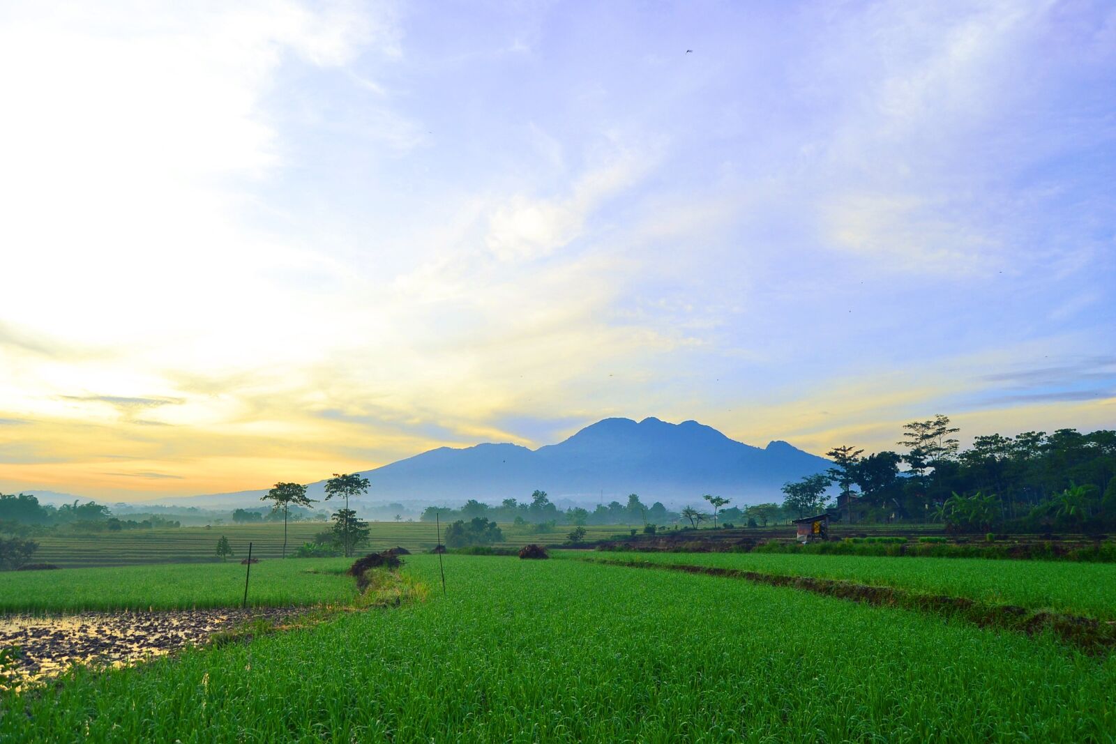 Nikon D3100 sample photo. Landscape, mountain, nature photography