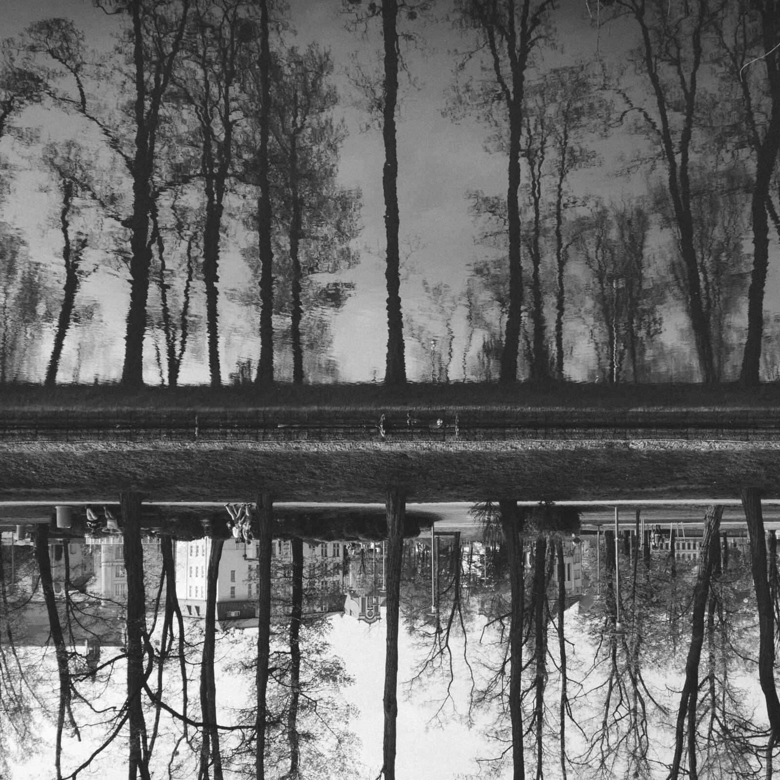 Olympus OM-D E-M5 sample photo. Birds, reflection, river, water photography