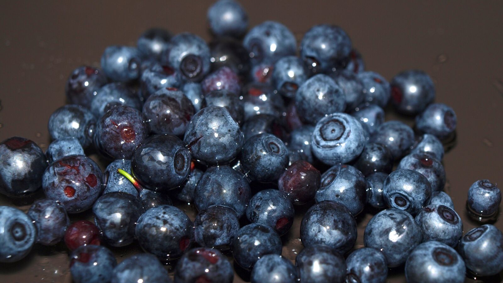 Olympus E-520 (EVOLT E-520) sample photo. Blueberry, berry, forest berries photography