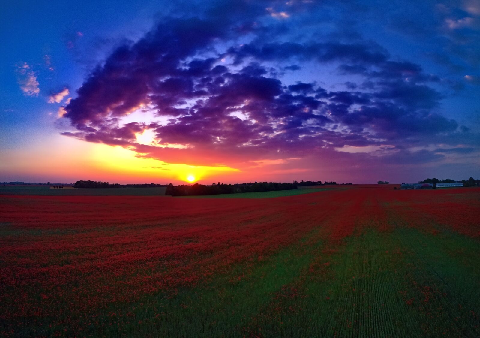 DJI FC220 sample photo. Sky, nature, landscape photography