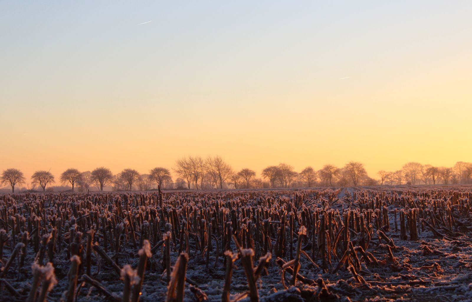 Canon EOS 1200D (EOS Rebel T5 / EOS Kiss X70 / EOS Hi) sample photo. Sunrise, winter, sun photography