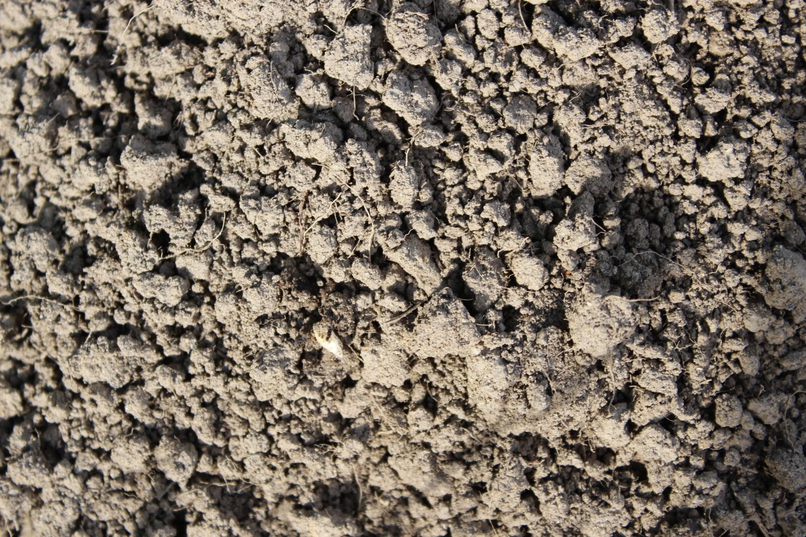 Canon EOS 600D (Rebel EOS T3i / EOS Kiss X5) sample photo. Earth, ground, soil structure photography