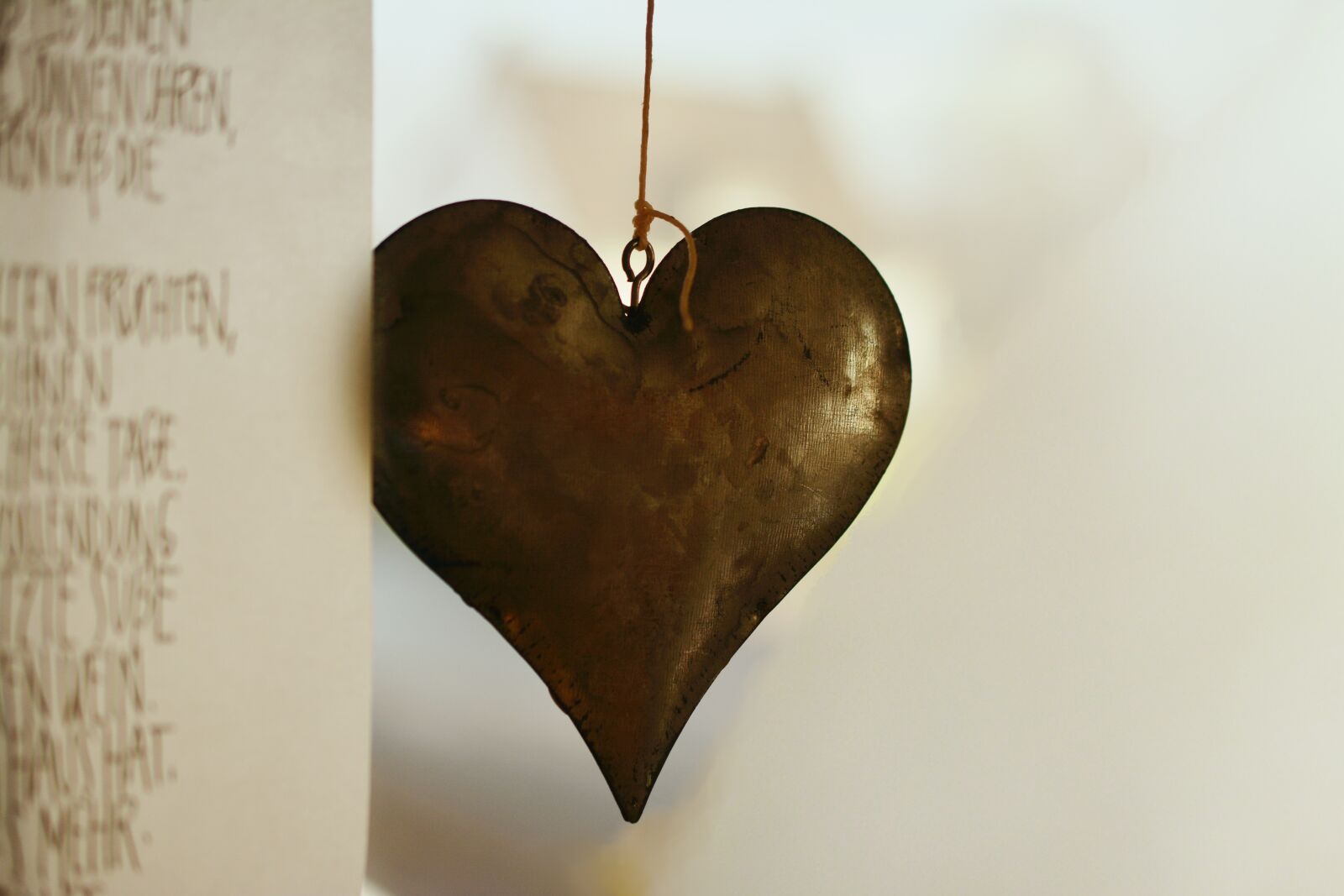 Nikon D5200 sample photo. Heart, iron, metal photography