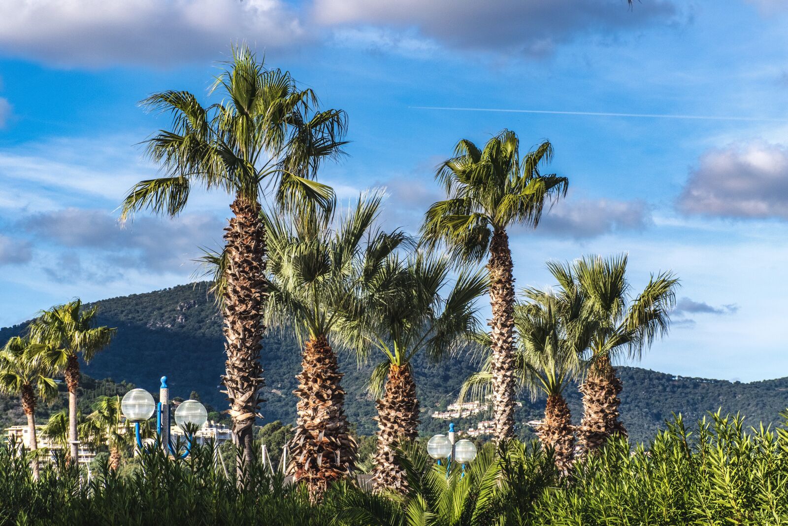 Nikon D5600 sample photo. Cavalaire sur mer, france photography