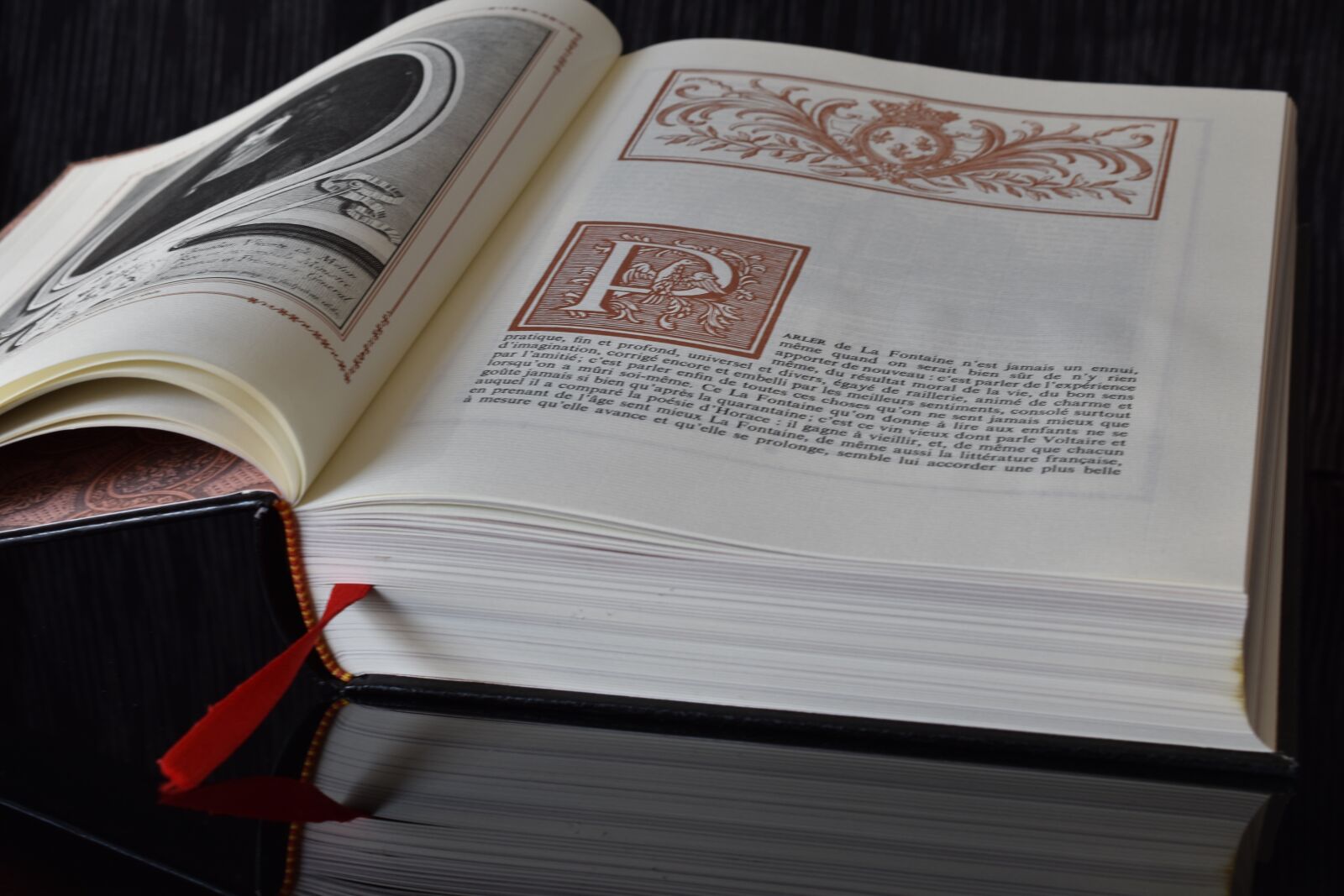 Nikon D5600 sample photo. Book, reading, literature photography