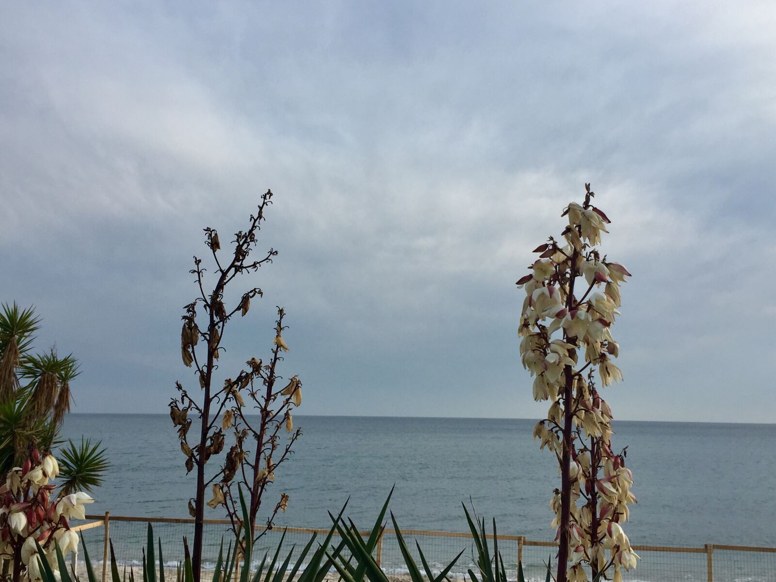iPhone 6 back camera 4.15mm f/2.2 sample photo. Sky, clouds, water photography