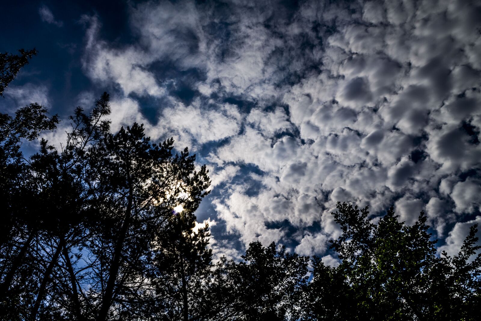 Canon EOS 1100D (EOS Rebel T3 / EOS Kiss X50) sample photo. Clouds, sky, nature photography