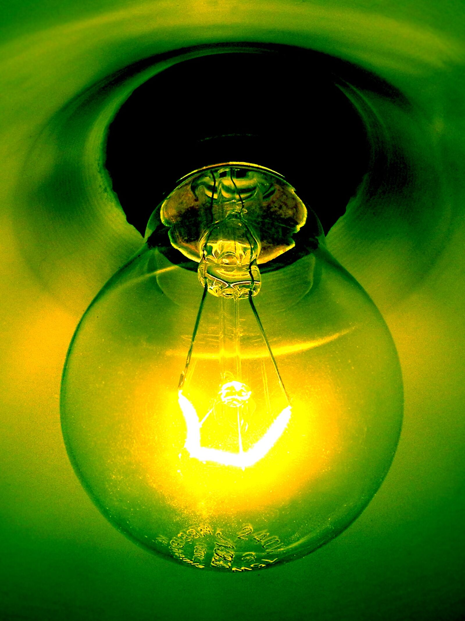 Nikon Coolpix P7000 sample photo. Bulb, light, green photography