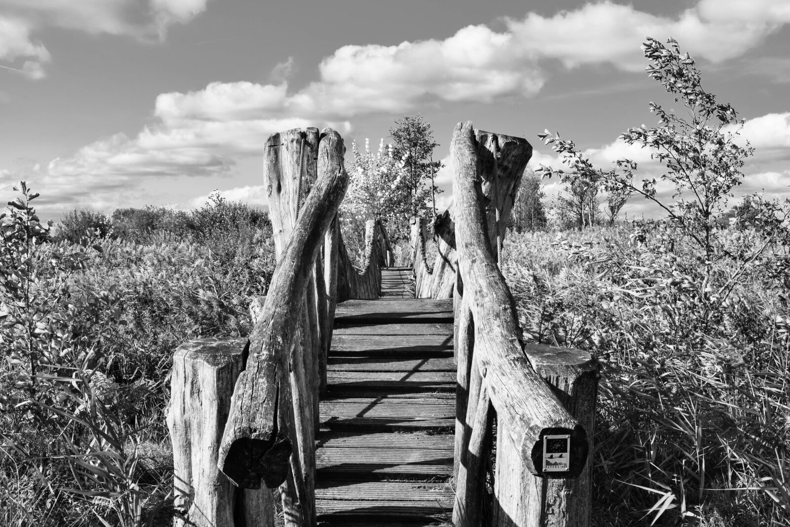 Nikon D5300 sample photo. Bridge, clouds, black white photography