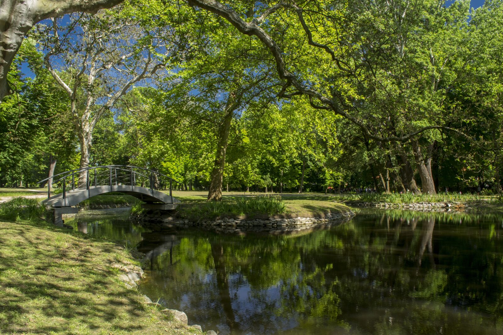 Nikon D3100 sample photo. Bridge, park, romantic photography