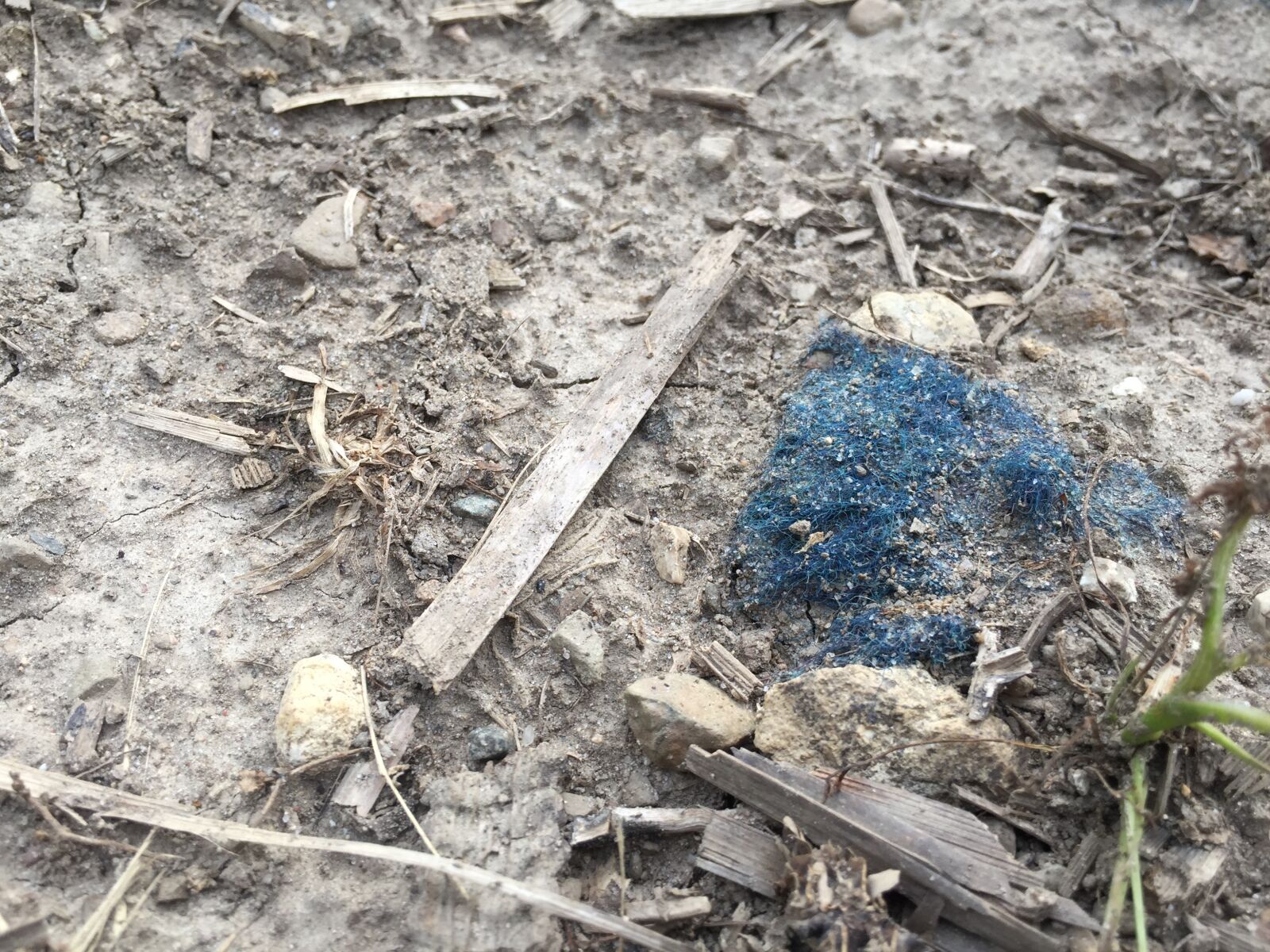 iPhone 6 back camera 4.15mm f/2.2 sample photo. Blue, farm photography