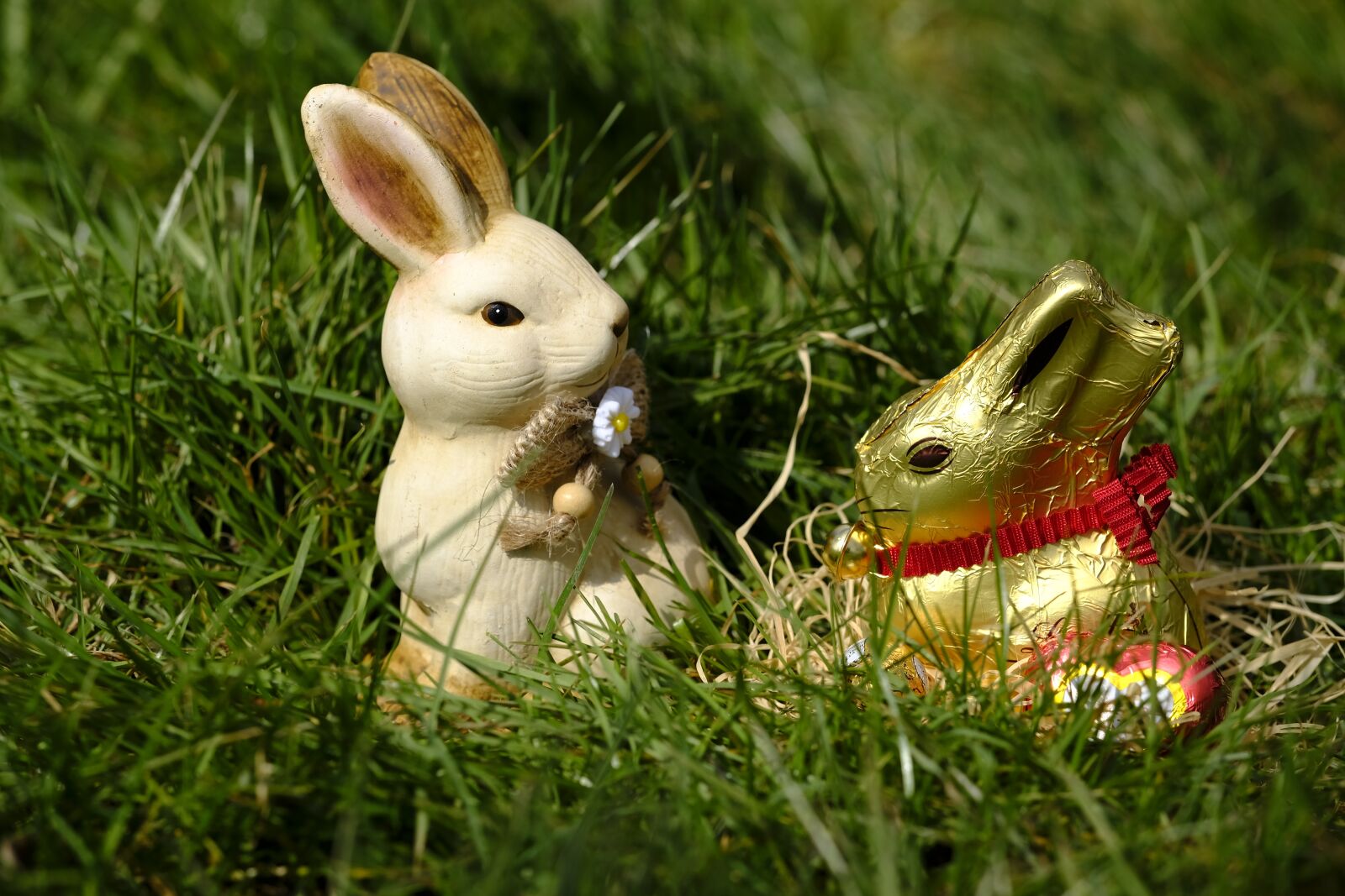 Fujifilm X-T2 + Fujifilm XF 80mm F2.8 R LM OIS WR Macro sample photo. Hare, easter bunny, easter photography