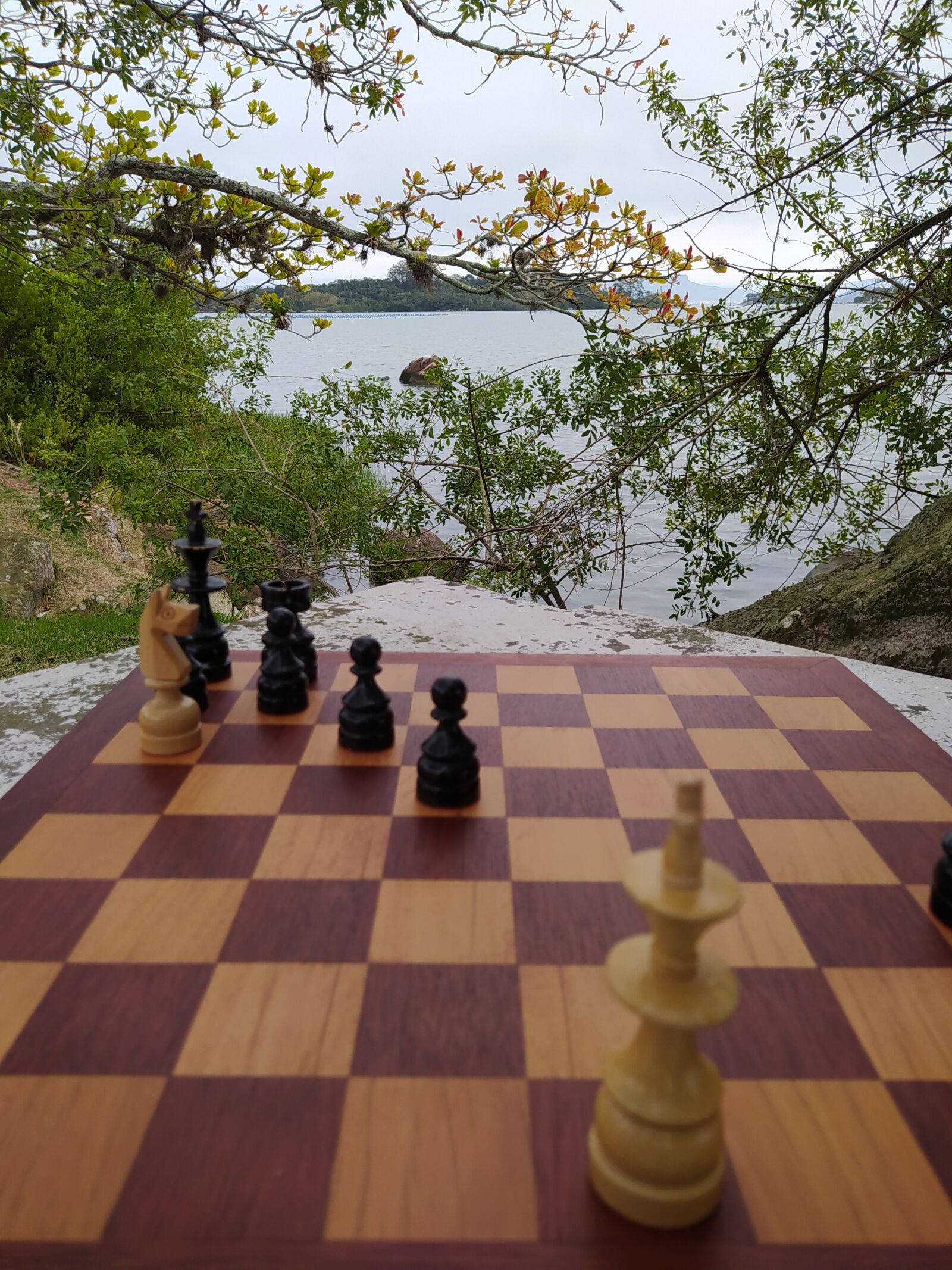 Xiaomi Redmi Note 8 sample photo. Tabuleiro, xadrez, natureza photography