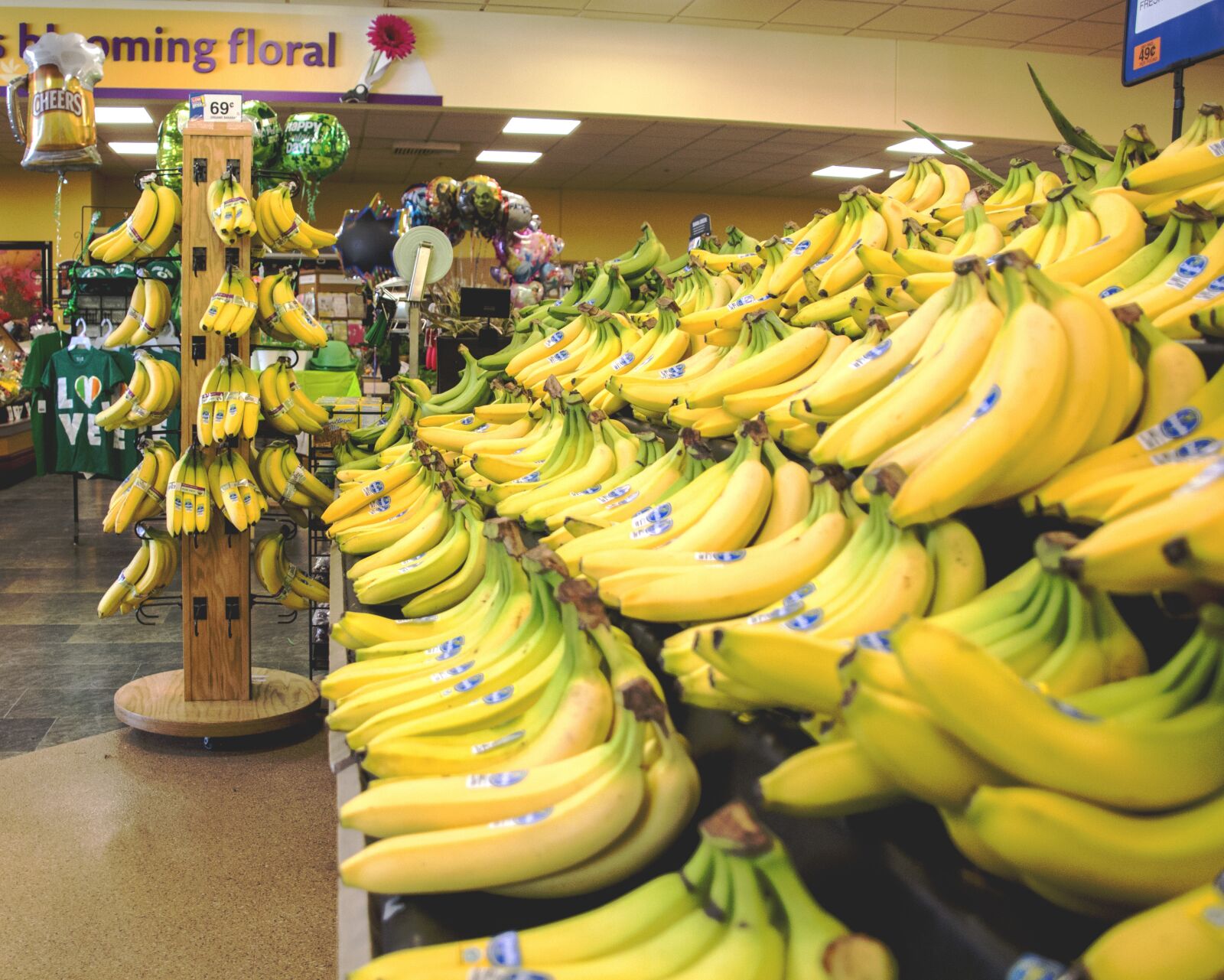 Canon EOS 700D (EOS Rebel T5i / EOS Kiss X7i) sample photo. Bananas, food, fruits photography