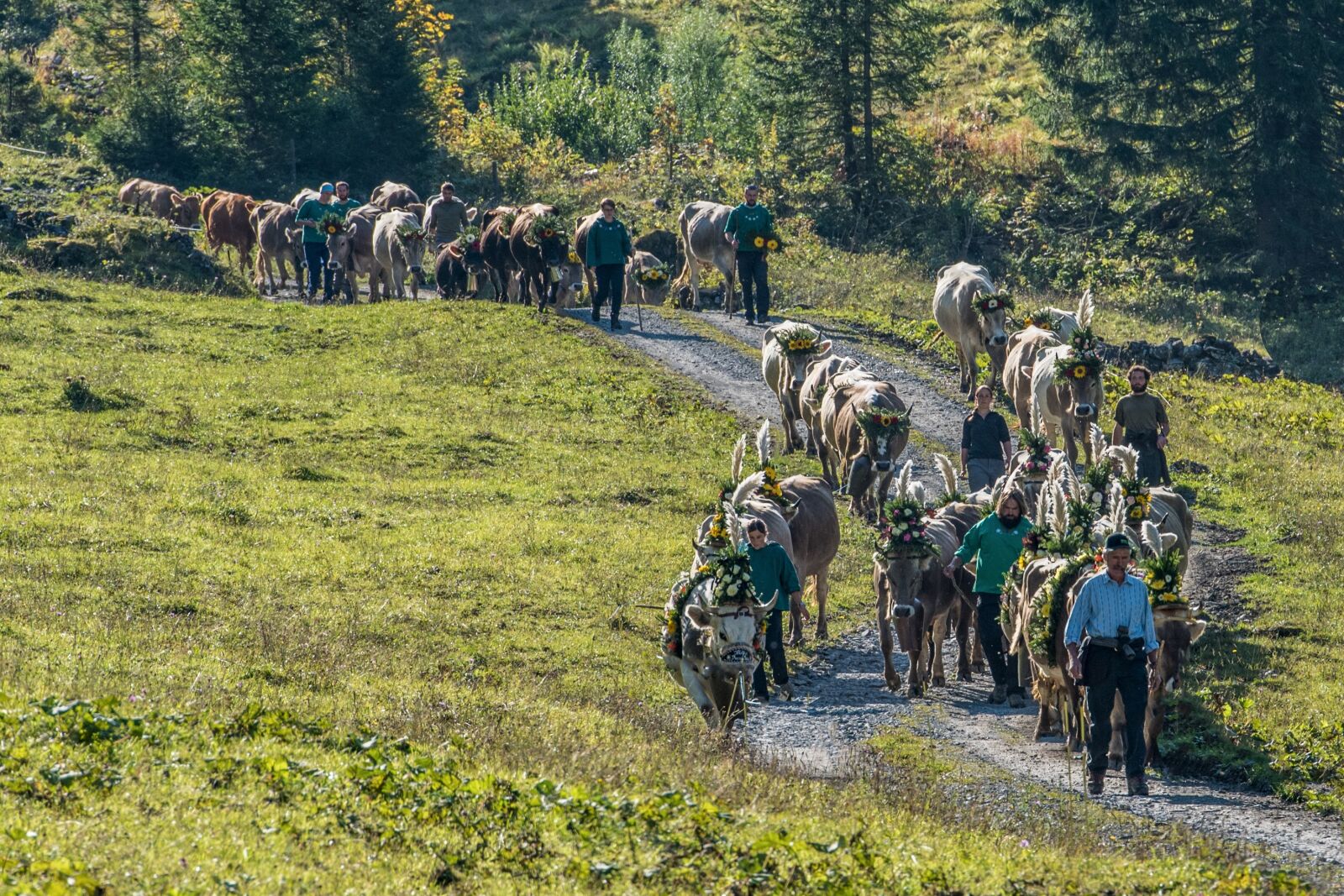 Nikon D810 sample photo. Alpine, désalpe, descent photography