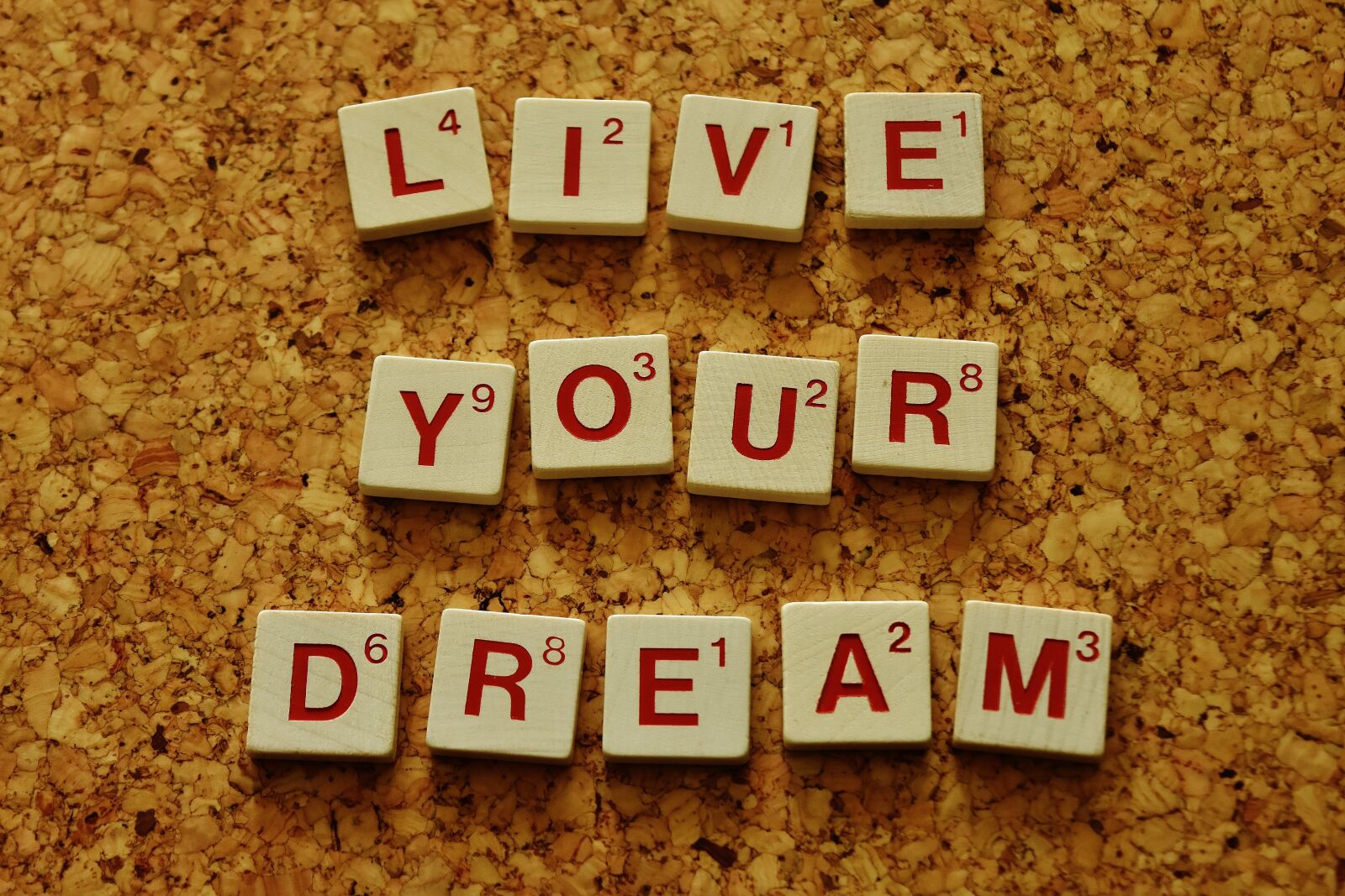 Nikon D7200 sample photo. Live your dream, motivation photography