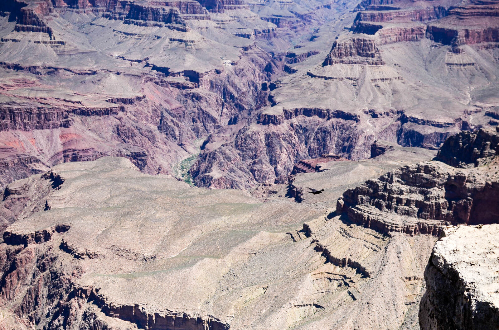 Nikon D7000 + Nikon AF-S DX Nikkor 35mm F1.8G sample photo. Canyon, grand, canyon, national photography