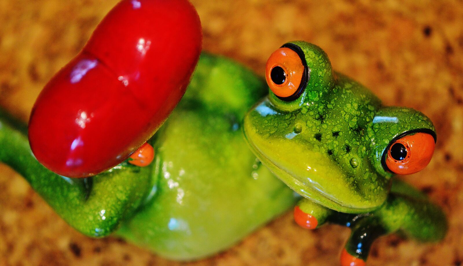 Nikon D3200 sample photo. Frog, funny, figure photography