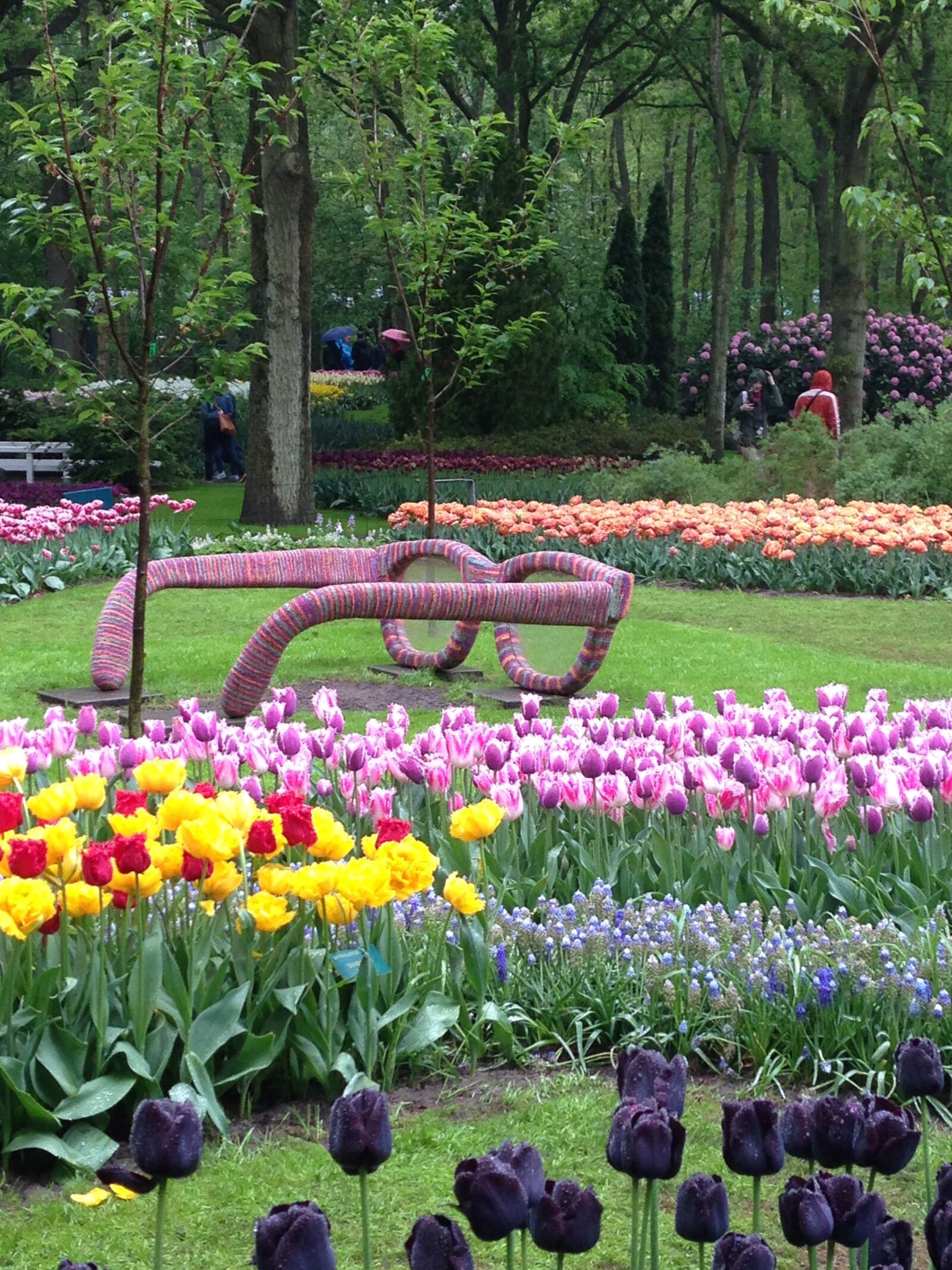 iPhone 5 back camera 4.12mm f/2.4 sample photo. Garden, keukenhof, tulip photography