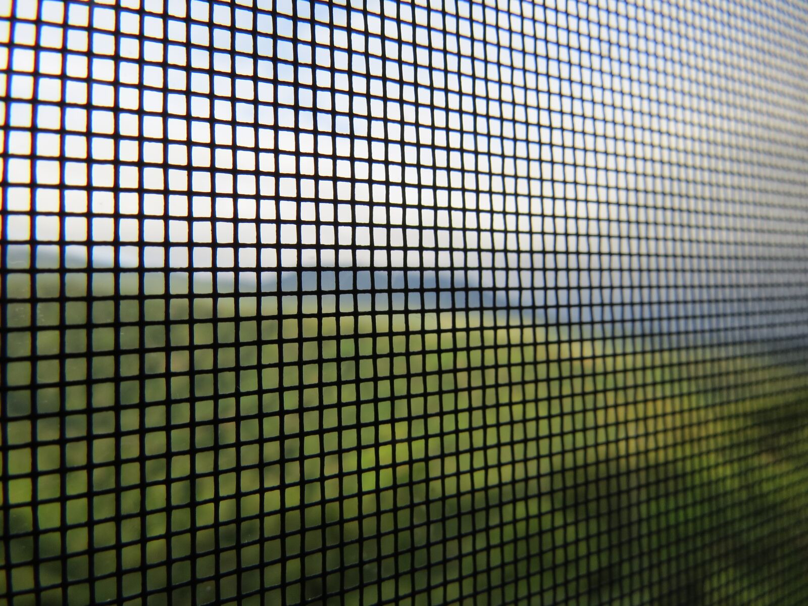 Canon PowerShot SX50 HS sample photo. Freedom, security, encyclopedia photography