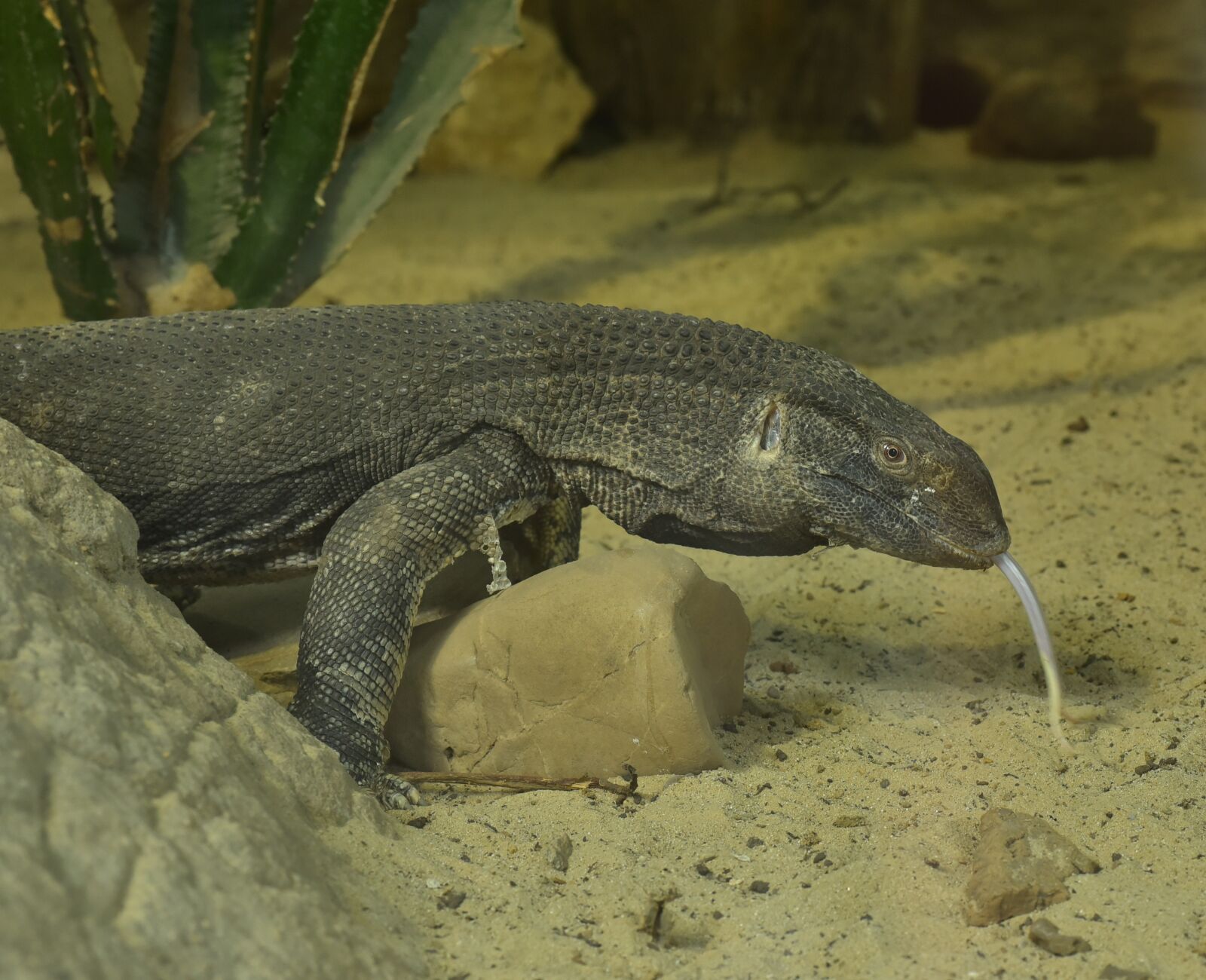 Nikon D750 sample photo. Monitor, yellow, prehistoric times photography