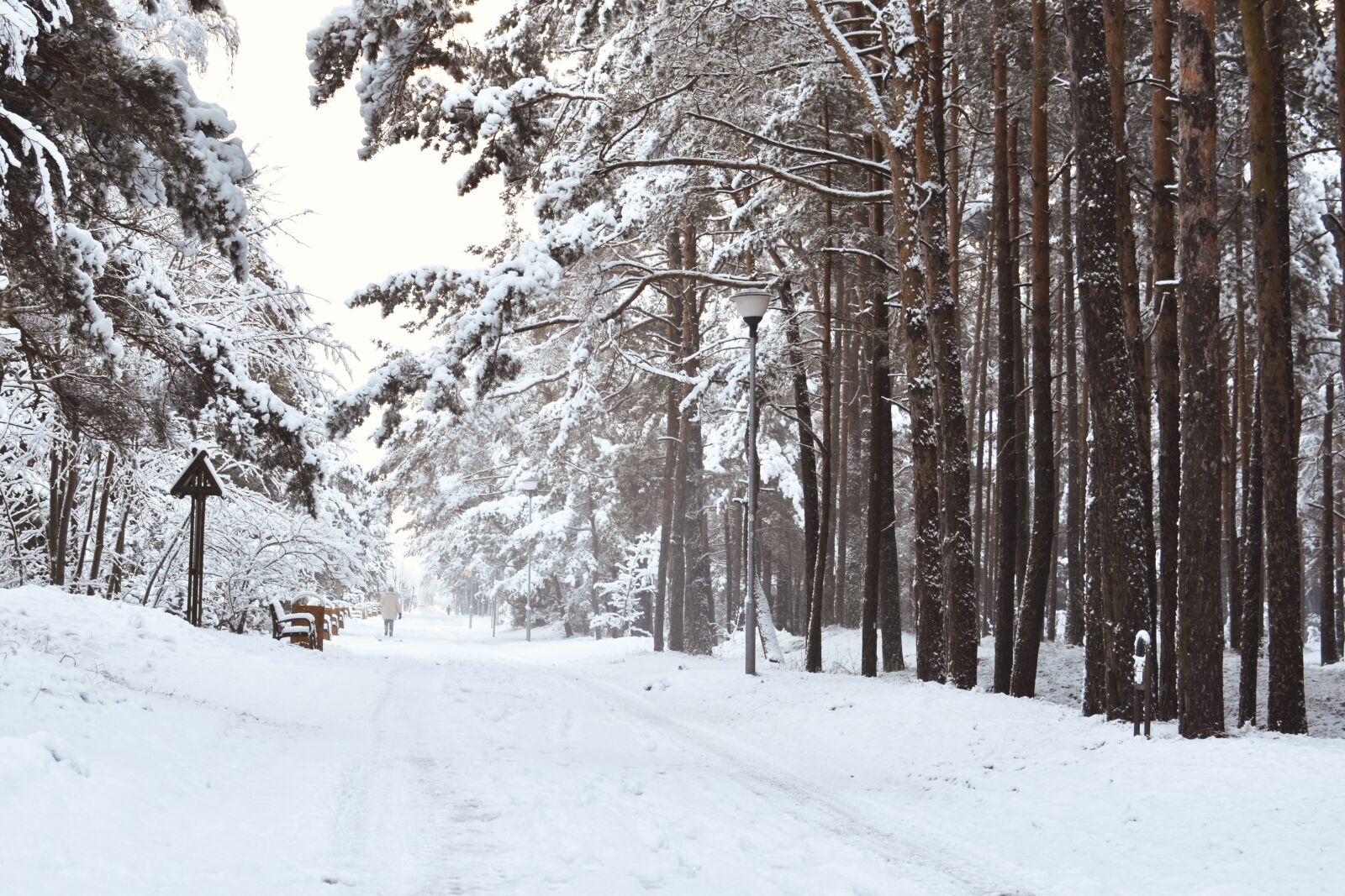 Nikon D7200 sample photo. Wintry, scenic landscape, snowy photography