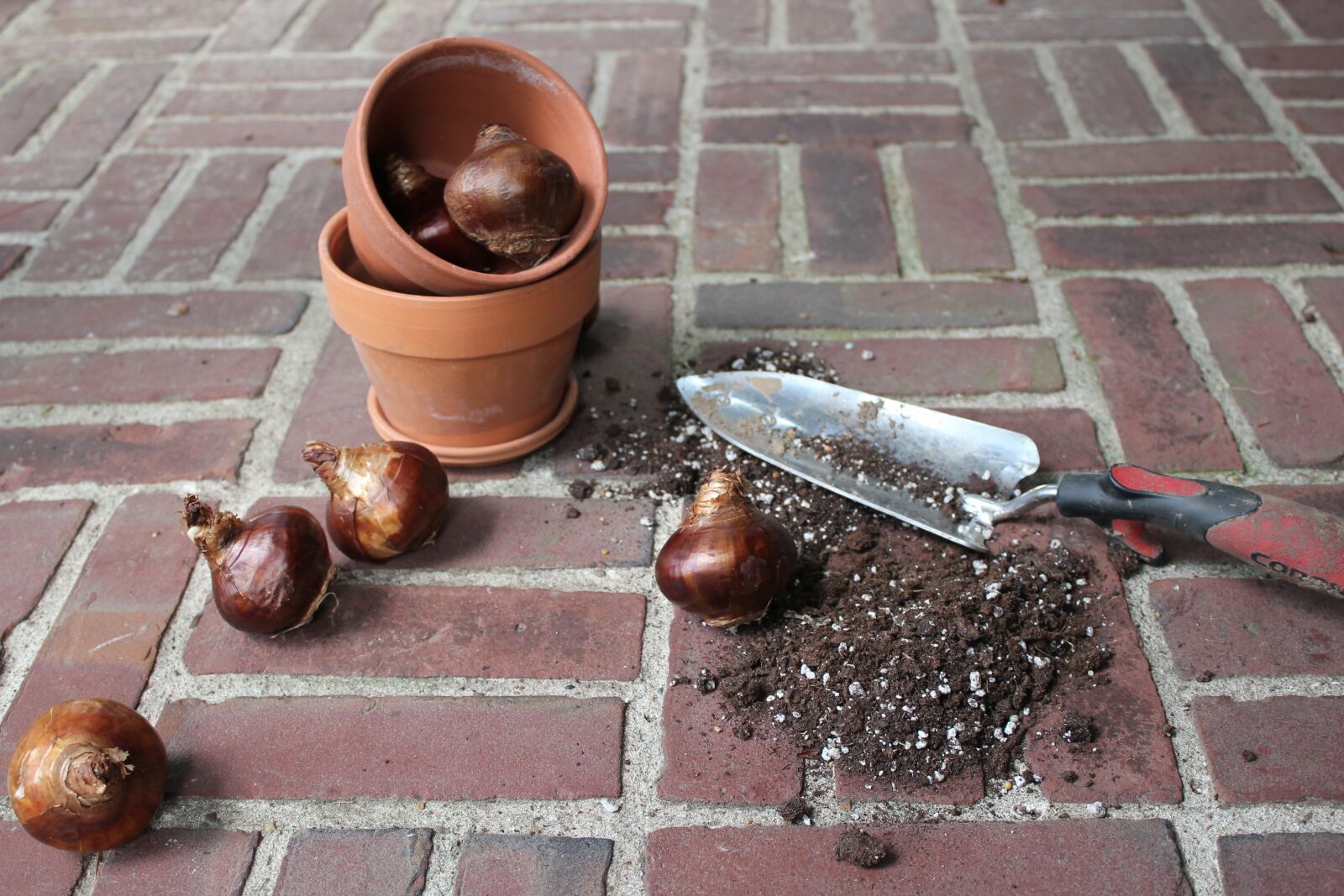Canon EOS 550D (EOS Rebel T2i / EOS Kiss X4) sample photo. Spring, bulb, gardening photography